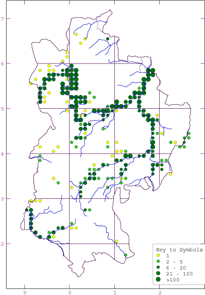 AditLink - DMAP Sample Output (Calopteryx splendens)