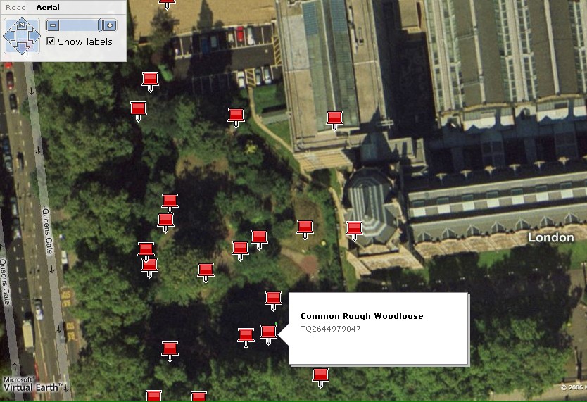 AditLink - Virtual Earth Sample Output (HLF Project at Natural History Museum) AditLink - Virtual Earth Sample Output (HLF Project at Natural History Museum)